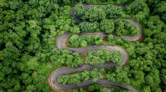 Maredumilli: Explore Nature, Waterfalls, and Tranquil Escapes in Andhra Pradesh