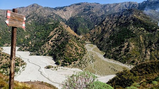 Aspromonte National Park: Home to Wolves, Eagles, and Rare Species