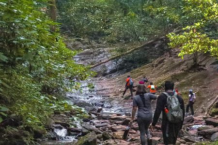 Kodachadri Trek: A Thrilling Adventure in the Western Ghats