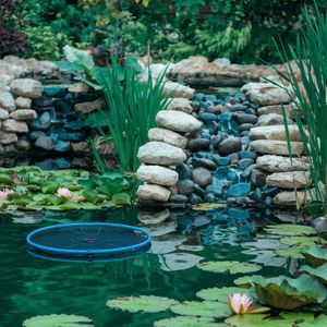 Pond Filter System – Keep Your Pond Water Crystal Clear