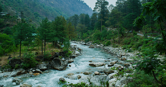 Jibhi Tirthan Valley Trip from Delhi: A Hidden Himalayan Paradise Awaits