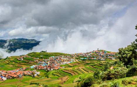 Bangalore to Ooty Travel: Your Guide to a Peaceful Hill Station Retreat
