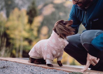 Koiran Ahminta Essentials for Healthier Finnish Dogs