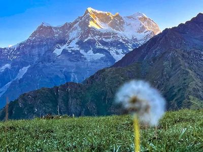 Best Monsoon Treks in the Himalayas