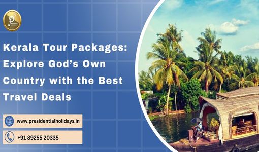 Kerala Tour Packages: Explore God’s Own Country with the best travel Deals