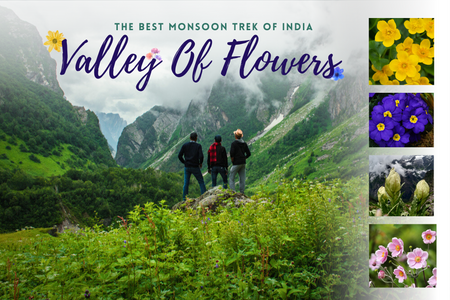 Valley of Flowers Trek 2025 - The heart of Uttarakhand