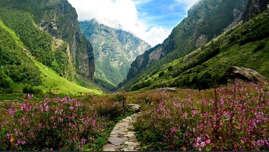 Valley of FlowersValley of Flowers Trek in Trek: Discover the Hidden Gem of Uttarakhand’s Himalayas