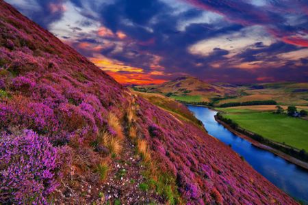 Valley of Flowers Trek: Monsoon Magic in the Heart of the Himalayas