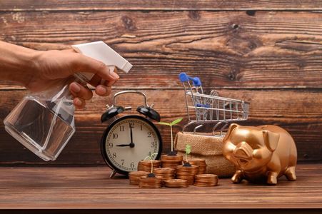 Maximize Savings and Investments with Money and Sage