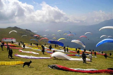 Adventure Awaits: Paragliding in Bir Billing for Adrenaline Seekers