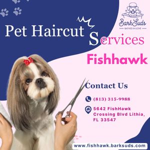 The Ultimate Guide to Pet Haircut Services in Fishhawk