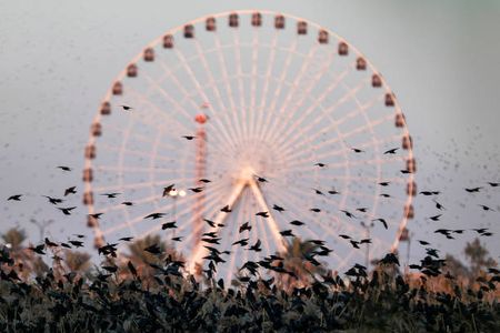 Discover the Most Thrilling Adventures at IMG Worlds Dubai