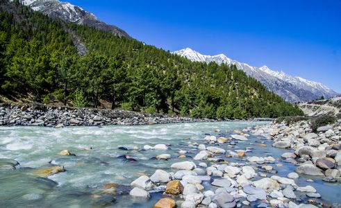 Lost in the Himalayas: My Soulful Journey on the Kasol Kheerganga Trek
