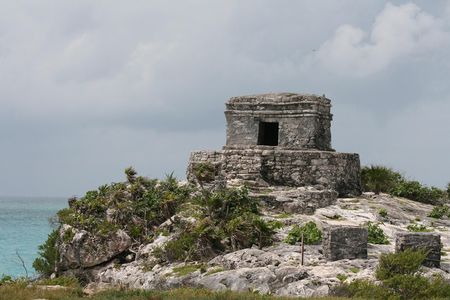 Discover Tulum Differently: Birdwatching Hotspots and Scenic Bike Rides