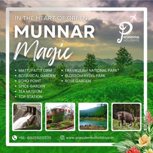 Explore the Hills with the Best Munnar Tour Packages from Madurai