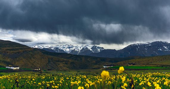 Top 7 Reasons to Add the Valley of Flowers Trek to Your Bucket List