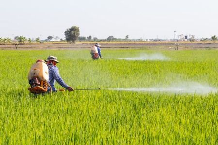 Fertilizer Frontier: Unlock Crop Potential with Bharat Agro Chemicals and Fertilizers