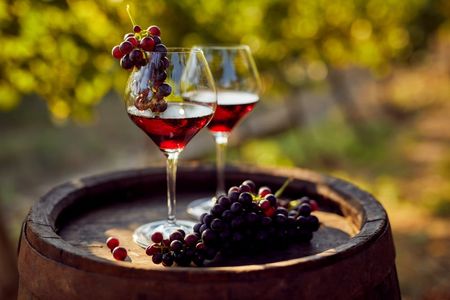Red Wine Revelations: What to Eat with Red Wine & Perfect Cheese Pairings