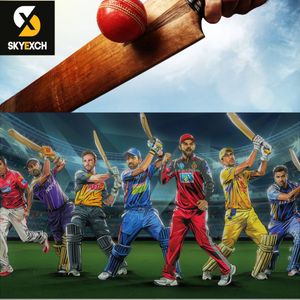 Skyexch vs. Sky Exchange: Which App Offers a Better User Experience?