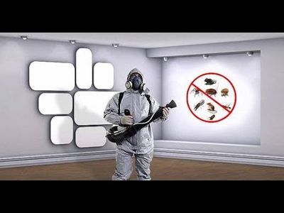 Say goodbye to pests for good