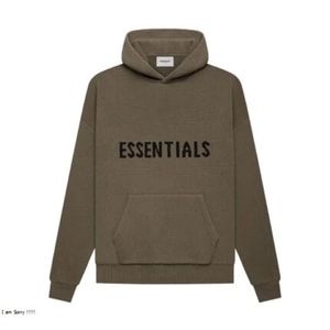 Fantastic Look Provided by Essentials Hoodie