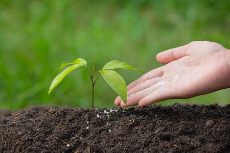 NPK Fertilizer Equipment: Essential Machinery for Quality Production