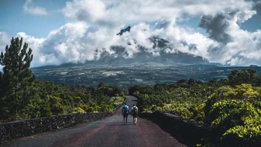 Best Trekking Places To Visit In Kerala