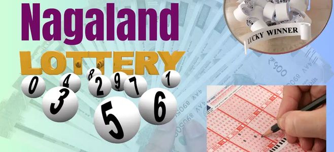 Dear Lottery Result Nagaland Sambad