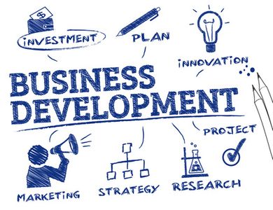 Business Development Services: A Strategic Growth Solution for Modern Companies