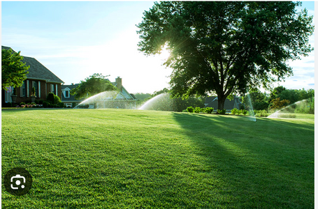 Eco-Friendly Irrigation Options for Sustainable Landscaping in Victoria, BC