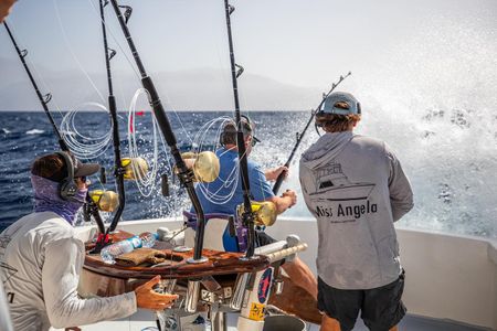 Best Fishing Spots in Cape Verde | Miss Angela