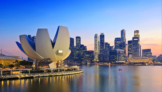 A Complete Guide to Professional Visa Consultancy Services