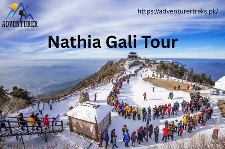 Discover Nathia Gali – Nature’s Hidden Gem in the Hills