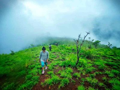 Sunrise at Kurinjal Peak: A Trekker’s Guide to Timing & Views