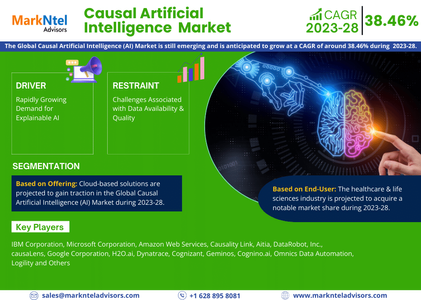 Exploring Causal Artificial Intelligence (AI) Market Opportunity, Latest Trends, Demand, and Develop