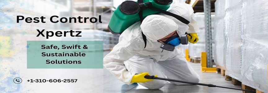 Bee & Wasp Control in Los Angeles and Orange County