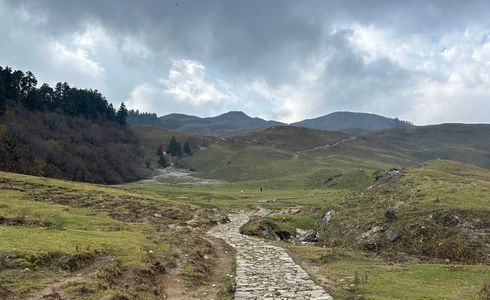 Wandering Through Serene Meadows and Alpine Forests of the Indian Himalayas