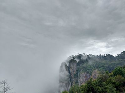Discover the Magic of Kodaikanal Tour Packages