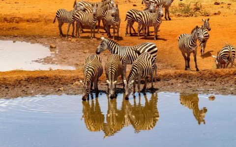 Solo Travel in Kenya: Tips, Destinations & Safety