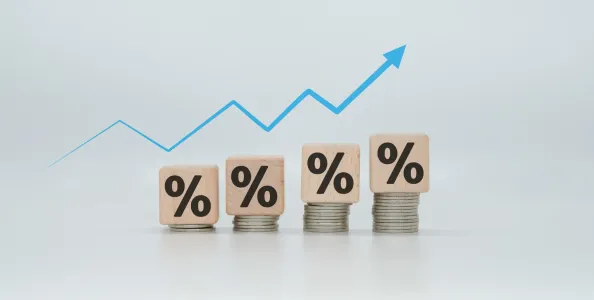 Highest FD Rates Can Help You Build a Risk-Free Portfolio