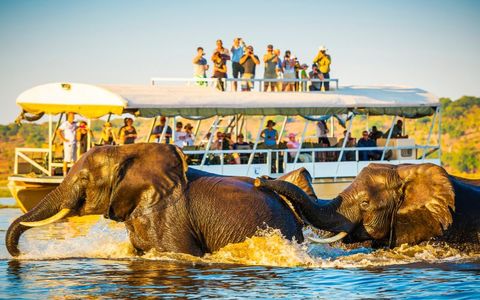 10 Kid-Approved Attractions to Visit in Thailand 