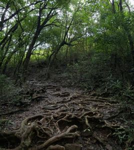 Top 15 Monsoon Treks in India for Rain-Lovers and Nature Seekers