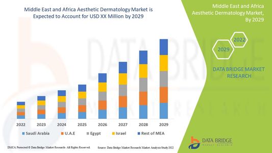 Middle East and Africa Aesthetic Dermatology Market Poised for Robust Growth Amid Rising Demand for