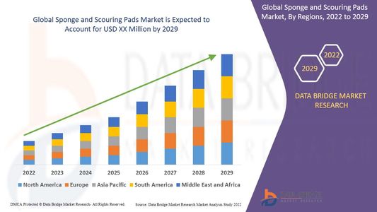 Sponge and Scouring Pads Market Opportunities: Growth, Share, Value, Size, and Scope