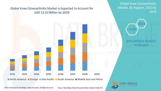 Global Knee Osteoarthritis Market Graph: Growth, Share, Value, Size, and Insights