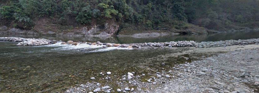 Discover the Hidden Wildlife Gems of Uttarakhand’s National Parks