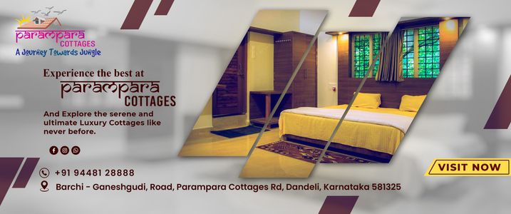 How Can You Experience the Tranquility of Dandeli Resorts?