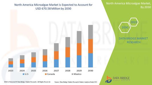 North America Microalgae Market Accelerates with Rising Demand for Sustainable Nutritional and Biofu