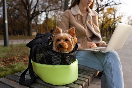 Best Breathable Pet Backpack at Mooney & Sage for Travel