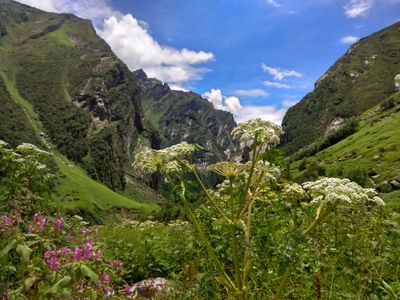 The Valley of Flowers Trek